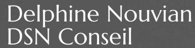 Logo DSN Conseil