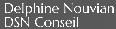 logo DSN Conseil